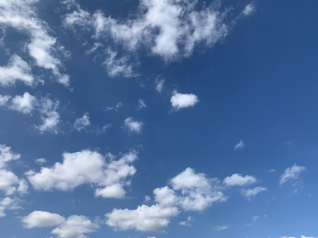 IMG_0202.jpeg