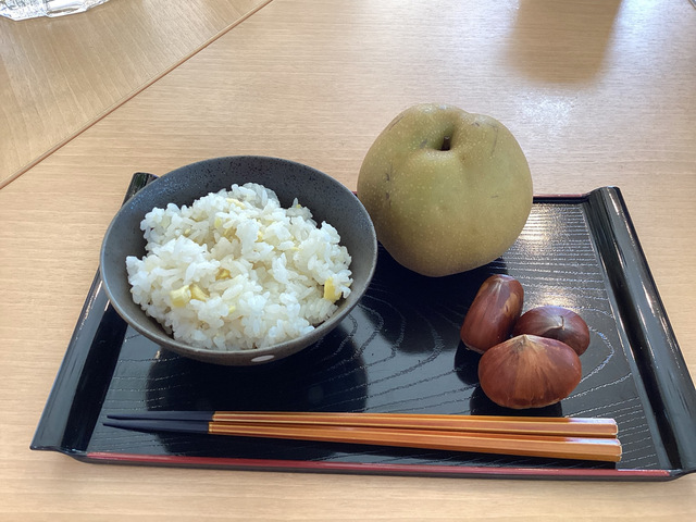 IMG_0311.jpeg