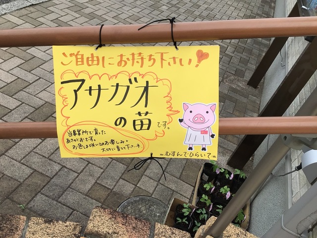 IMG_0578.jpeg