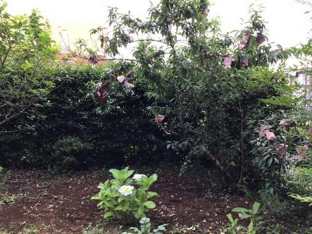 IMG_0632.jpeg