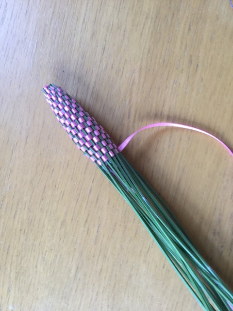 IMG_0959.jpeg
